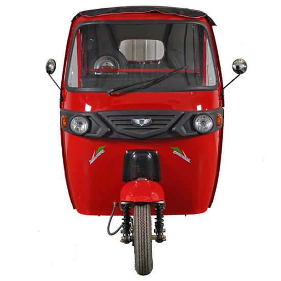 Tricycle électrique de loisirs à 3 roues pour adultes, certifié CCC, énergie verte, à piles, avec véhicule à moteur 4000W