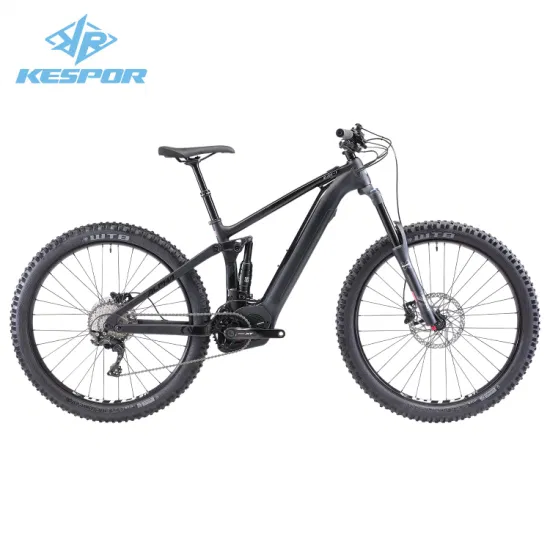 OEM haut de gamme, vente en gros, 27.5/29 pouces, 36V, 250/500W, moteur à entraînement central dans le pédalier, vélo électrique de montagne avec cadre en Fiber de carbone