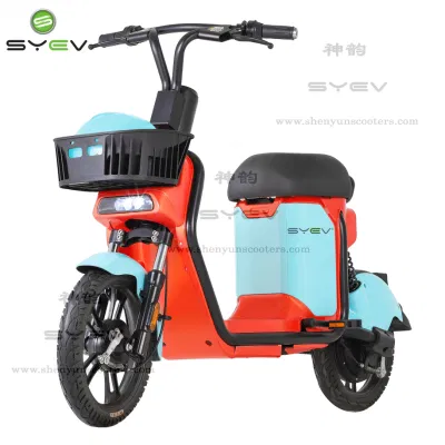 Syev 2022 Top Sale 2 roues 48V24ah 350W Vélo de partage électrique économique E