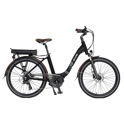 Chine Gros vélo de ville électrique en fibre de carbone cadre en alliage d'aluminium puissance au lithium suspension complète Bicystar City vélo électrique à vendre