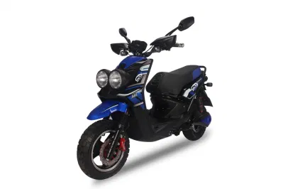 1000W puissant vélo de moto électrique adulte /scooter électrique/scooter de moto électrique (BWS)