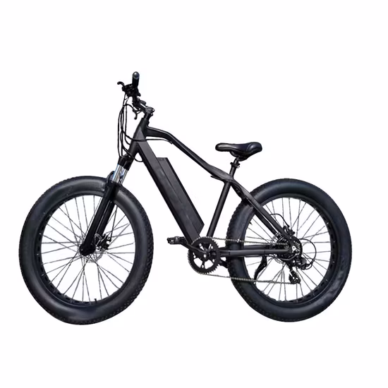 500W/750W/1000W 26 pouces 100 Nm Shimano 7