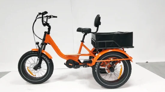 Tricycle électrique adulte adapté aux besoins du client par roue du tricycle 3 de puissance élevée du moteur MID de cargaison E